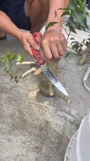 18K views · 96 reactions | 路‍♂️ | Quân Phan | Facebook