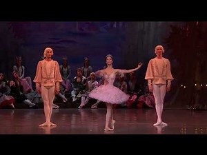 NUTCRACKER - Grand Pas de Deux (Renata Shakirova & David Zaleyev - Mariinsky Ballet)