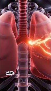 What Happens If the World’s Deadliest Spider Bites You? 🕷️#WhatIf#SpiderBite#BrazilianWanderingSpide