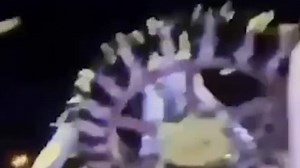 Schwerer Unfall in Freizeitpark in Saudi-Arabien