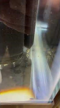 Aquarium manufactures marineland ,imagitarium ,aqueon,sepora