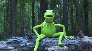 At last! The #IceBucketChallenge. Now I nominate Muppets Most Wanted co-stars Tina Fey, Ricky Gervais, and Ty Burrell. | Kermit the Frog