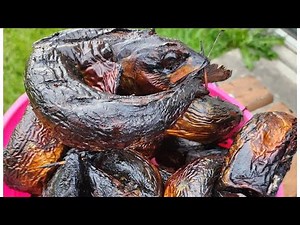 Comment fumer le poisson Express et super rapide sans fumoir à la maison #danycuisine #food #poisson