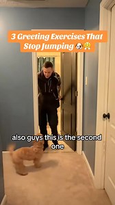 🙅🏽‍♂️3 Exercises That Teach Polite Greetsings🙅🏽‍♂️ #dogtraining #marylanddogtrainer #dogtips #dogtrainingadvice #doggo #clickertraining #dogtrainingtips # #certifieddogtrainer #dogclasses #puppyclass #puppyclasses #PrivateDogTraining #dogproblems #puppyproblems #puppyparents | Best Buddy Dog Trainer, LLC