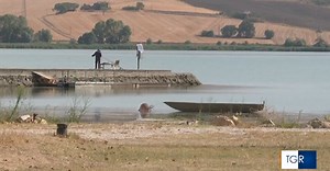 Chiusi: lago in secca, ecosistema a rischio