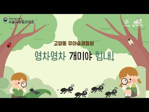 🌿 작지만 놀라운 친구, 개미 이야기｜고양동 유아숲체험원