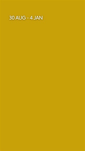 Nu te zien in Kunstmuseum Den Haag: de eerste Europese overzichtstentoonstelling van Lois Dodd. Na acht decennia is ze nog altijd actief, een viering van schilderkunst. Kom kijken hoe Dodd haar wereld al bijna een eeuw ziet en schildert. | Kunstmuseum Den Haag