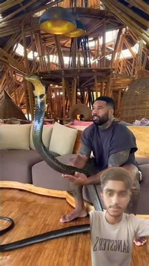 Incredible animal Transformations! 💀