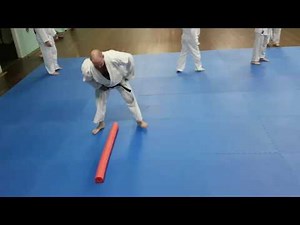 Aikido Rolls