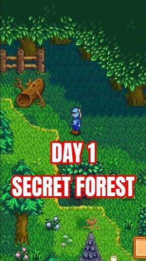 Stardew Valley How To Get Into The Secret Forest DAY ONE!