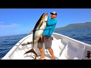 Using DOLPHINS to Catch MASSIVE Tuna (CATCH & COOK) - Offshore Fishing