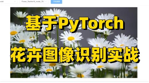 基于PyTorch构建CNN花卉识别模型！算法解析 模型训练，研究生入门必看的深度学习企业级实战！人工智能/深度学习/图像识别