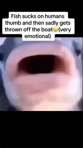 Emotional Fish Meme: Thumbs Up Gone Wrong