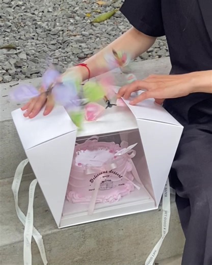Aesthetic Butterfly Box Cake Design Tutorial