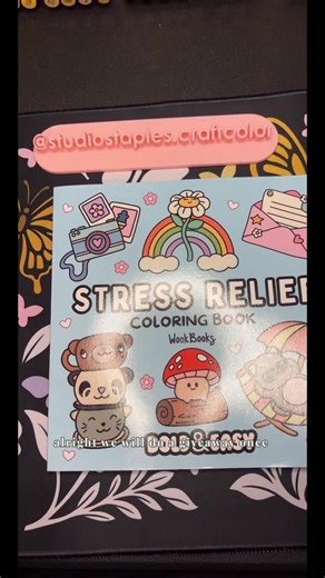 Color & Create Book & Desk Mat Bundle with 12 Alcohol Markers and Marker Bag by Wook Books