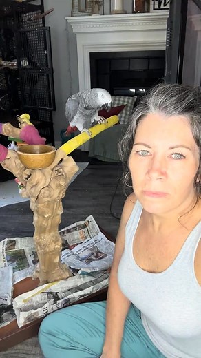 Story time with Einstein Answering one of my most | Einsteinsnewjourney