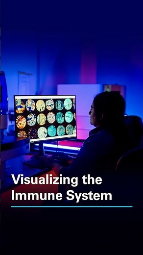 Visualizing the Immune System