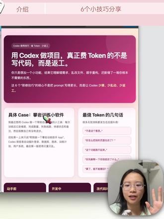 codex刚弄好怎么玩