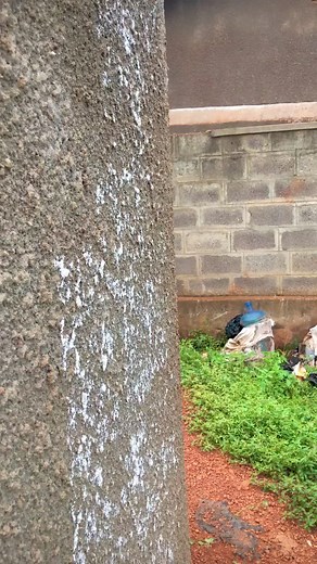 Skateboarding TikTok Compilation | Exciting Skate Videos