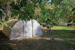 $500 Greenhouse: How To Build A Hoop House