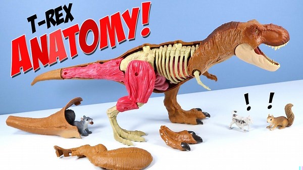 Jurassic World Tyrannosaurus Rex Anatomy Kit Stem Mattel