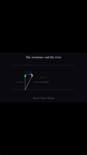 Why can't you swim in a straight line? 🏊 #learnphysics #phys101 #education #physics