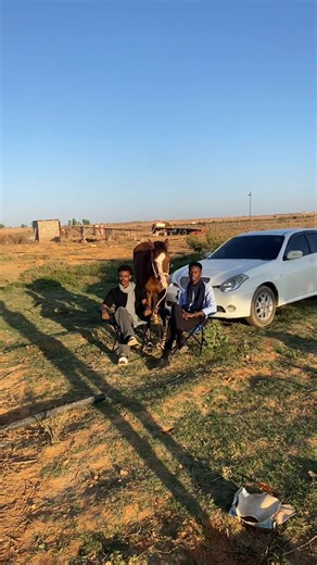 Noogu kaaley dalxiis iyo damashaad qurux badan #fardo_awliyo #garowe_puntland_🇸🇱🇸🇱 @Abdiqani faras🏇🏽🥇 @Zakariye buryar