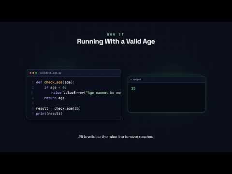 Raising Exceptions - Python for Beginners
