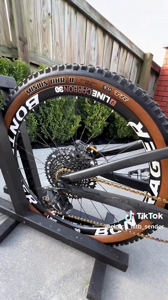 Before it cracked #rims #bike #mtb #fyp