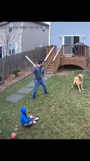 CCTV Footage 🐆😱 Hyena Attacks Child — Parent Drives It Away!#CCTV #HyenaEncounter #AnimalAttack