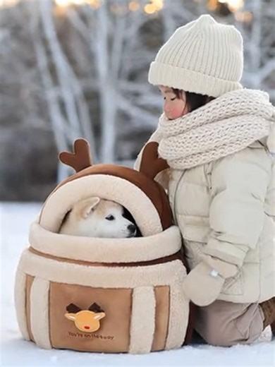 このバッグ、あったかそうだね。#ペットアクセサリー #犬のおもちゃ #ペットケア #犬のいる生活 #犬