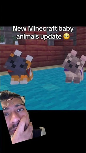 Omg the baby chickens!!! Been waiting for this change for years 😭 #minecraft #minecraftupdate
