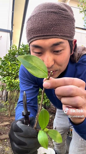 1分で覚える剪定のコツ
