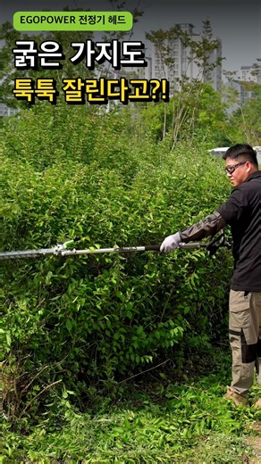 How to trim branches with a string trimmer...? [EGOPOWER] Multi-Head String Trimmer MST1503E #Str...