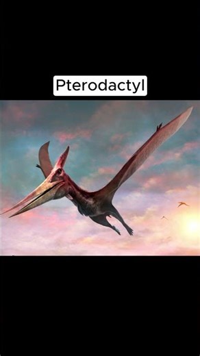 Extinct Animals Caught On Camera 🤯