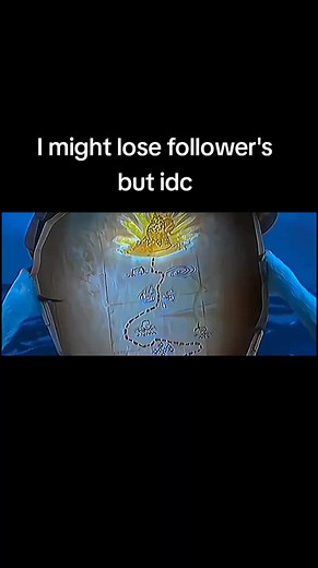 Animated Adventures of Furry Creatures and Colorful Animals