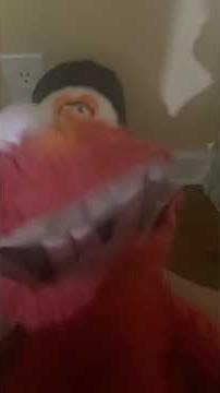 elmo world bye foofle and cinco de mayo home video
