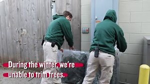 63K views · 266 reactions | Even though it's cold outside, the animals at Brookfield Zoo are still enjoying munching our tree trimmings!  Through our Browse program, we remove branches around power lines and provide them to the zoo as supplemental nutrition. Some of these tasty snacks are vacuum sealed and stored for use in the colder months. | ComEd | Facebook