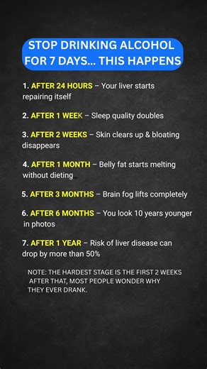 what happens to your body when you quit alcohol