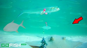 5.5M views · 5.8K reactions | I tied a camera to my beach fishing line and hooked a fished. Underwater action shot! | Brant Peacher Realtor | Facebook