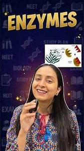 All About Enzymes in 2 mins🥳| Biomolecules #class11 #biology #shorts #ytshorts #study #neet #mbbs