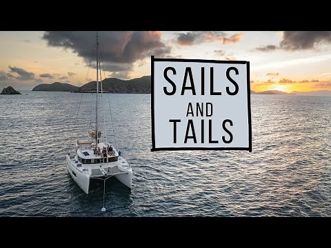 SAILS & TAILS | 7 Days of Sailing and Fly Fishing in the BVI