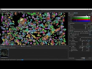 [Aivia That Learns] Autonomous 3D object segmentation