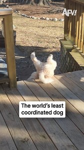 616K views · 5K reactions | Must have been an invisible force field 﫸 #afv #fail #funny | America's Funniest Home Videos | Facebook