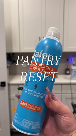 Pantry Reset After Rice Weevil Infestation - Part 1