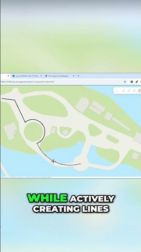True Curve Drawing on the Web