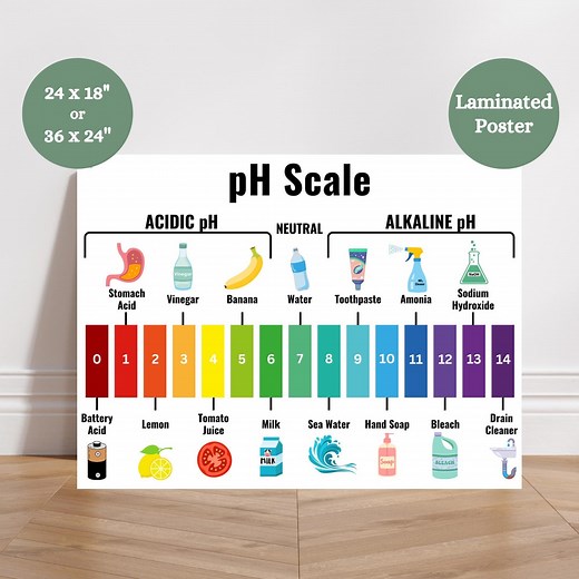 Ph Scale Anchor Chart, Acid Alkaline Ph Poster, Chemistry Classroom Anchor Chart, Acidic Basic Ph Scale Anchor Chart, Science Anchor Chart - Etsy