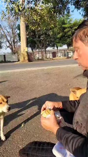 Niraj Kumar Chaturvedi | Yum Yum Boss Office Problem- No Problem #bossofficial #officelife #officepolitics #life #bossfight | Instagram