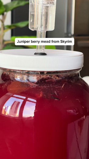 Skyrim Mead Making Process: From Start to Finish