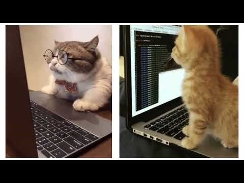 Informática Básica - Educação Infantil - 2026 - Notebook